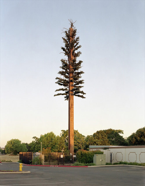 Photographer Robert Voit