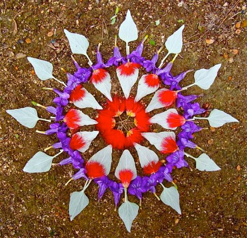 Flower mandalas by artist Kathy Klein