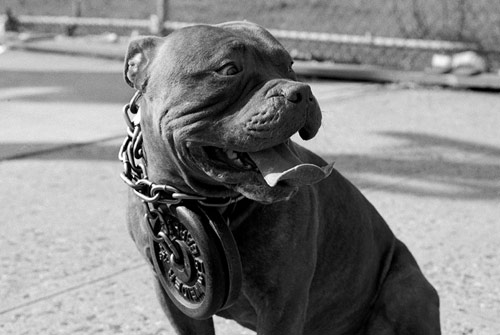 Photographer Anna Delany