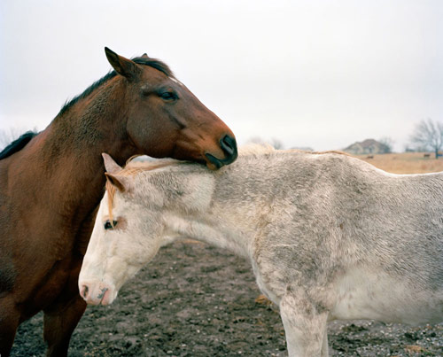 Photographer Cait Oppermann