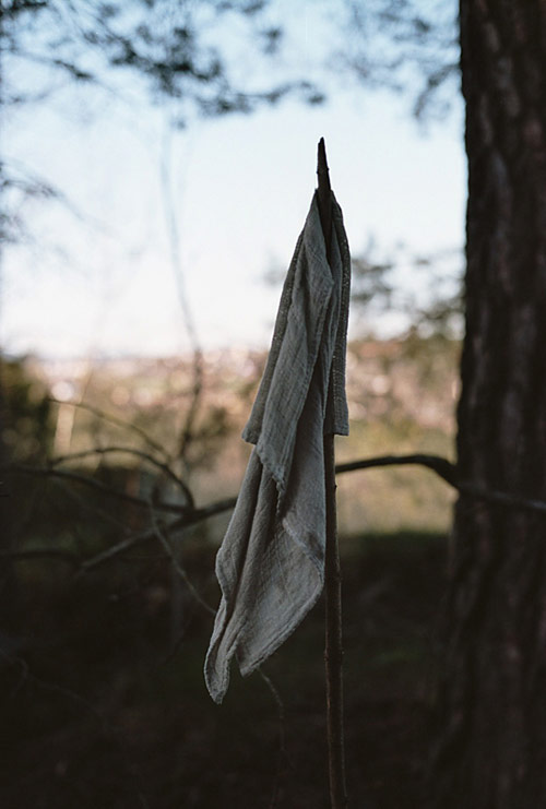 Photographer Hans Nøstdahl