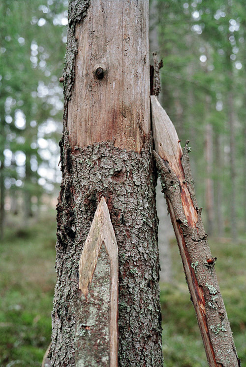 Photographer Hans Nøstdahl