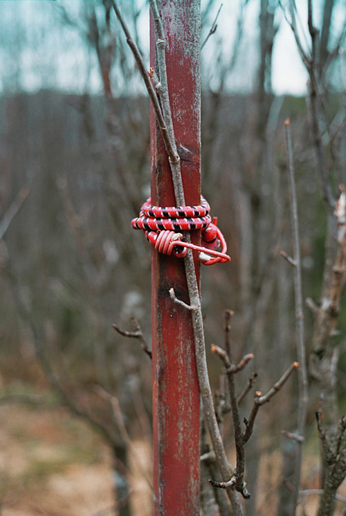 Photographer Hans Nøstdahl