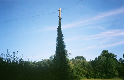 Photographer Lewis Chaplin