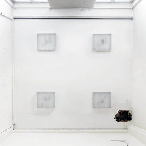 Photographer Menno Aden