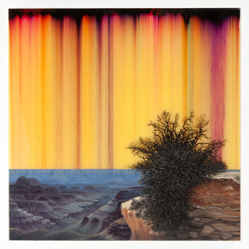 Artist painter Shane McAdams