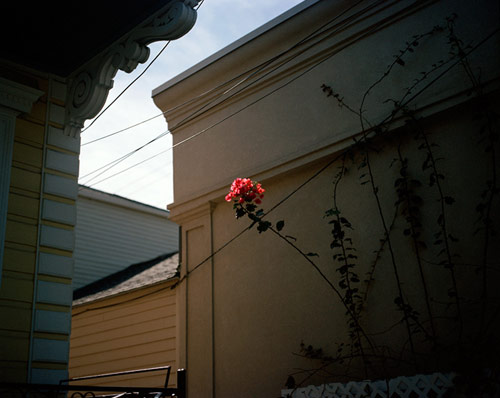 Photographer Wesley Ham