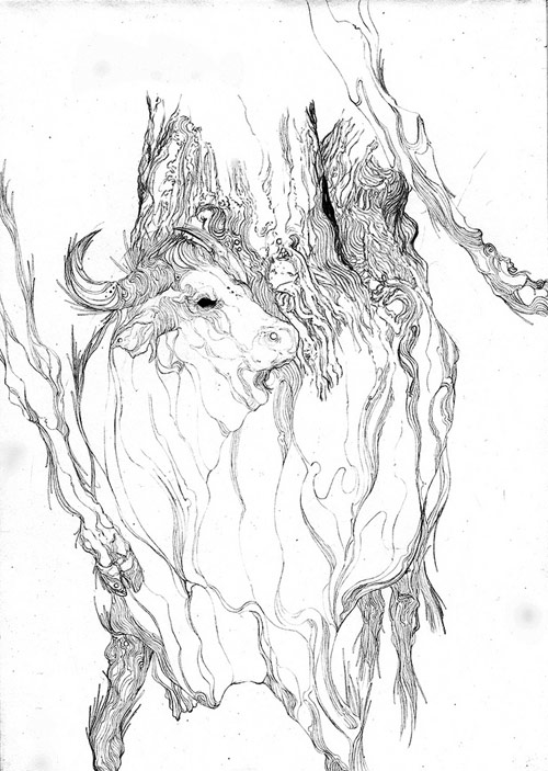 Drawings by artist Zakuro Aoyama