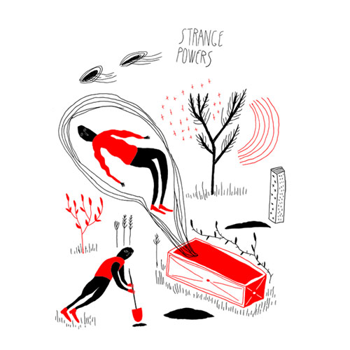 Illustrator Zoran Pungercar