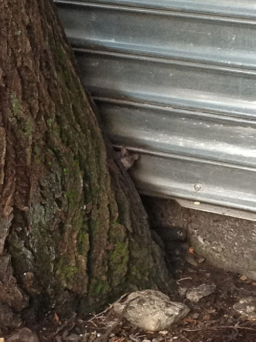 Photographer Bobby Doherty