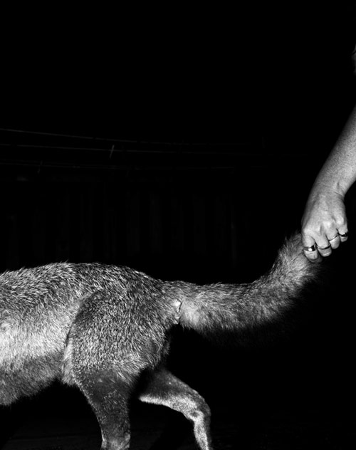 Photographer Clare Strand