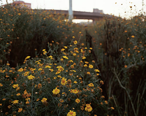 Photographer George Awde