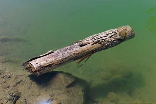 Photographer Grant Cornett