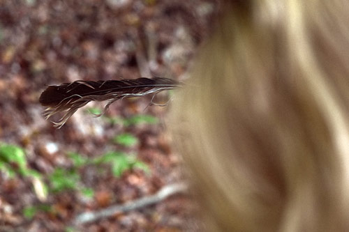 Photographer Grant Cornett