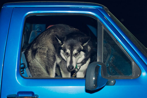 Photographer Grant Cornett