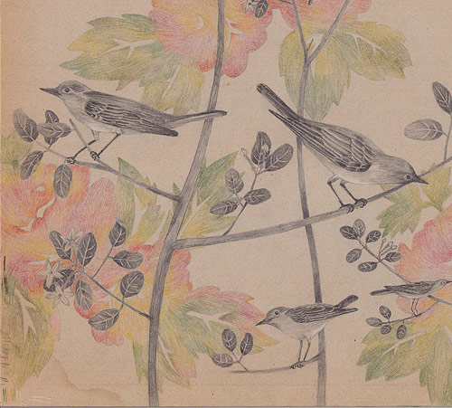 Drawings by artist Joanna Concejo