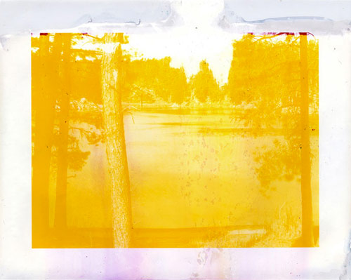 Photographer Matthew Brandt