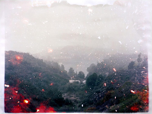 Photographer Matthew Brandt