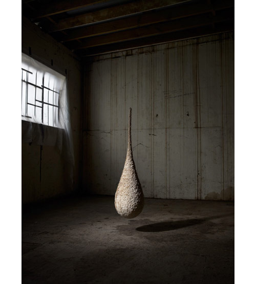 Photographer Michael Bodiam