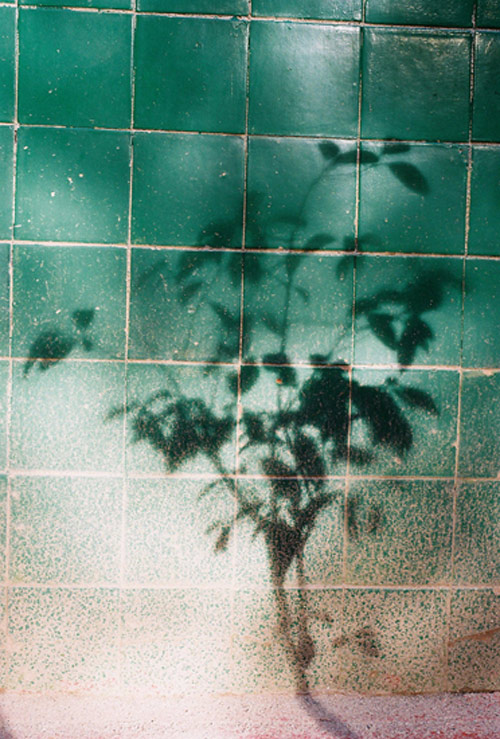 Photographer Wai Lin Tse