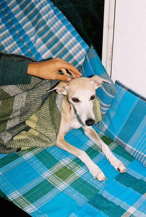 Photographer Wai Lin Tse