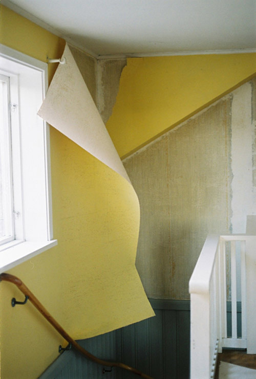 Photographer Wai Lin Tse