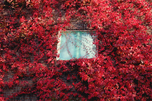 Photographer Elina Nilsson photography