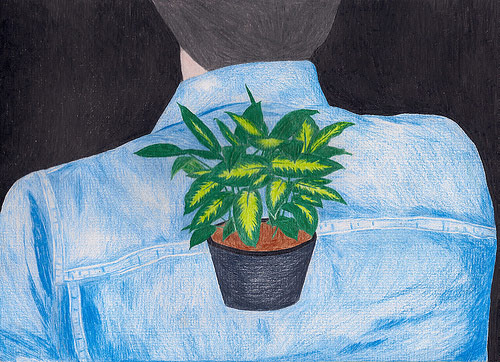 Drawings by artist Mariana Abasolo