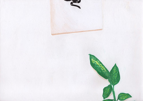 Drawings by artist Mariana Abasolo