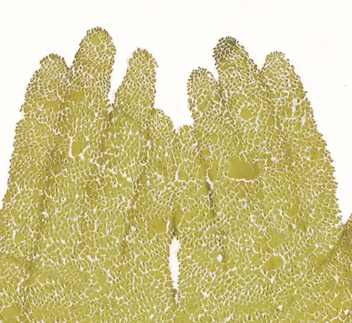 Artist Keun Young Park