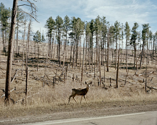 Photographer Mustafah Abdulaziz