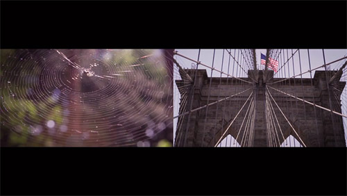 Neighborhood by Vera Danilina