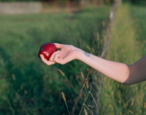 Photographer Daniel Farnum