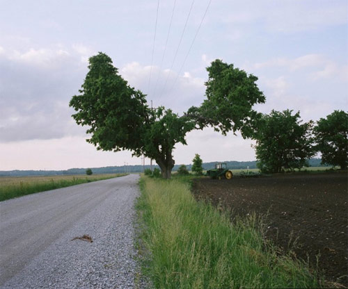 Photographer Daniel Farnum