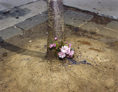 Photographer Darin Mickey