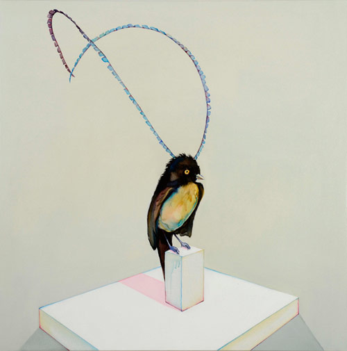 Artist painter Julian Meagher