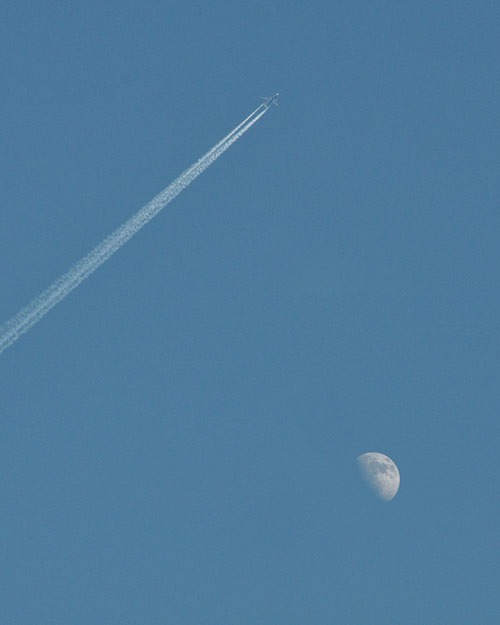 Photographer Levi Mandel