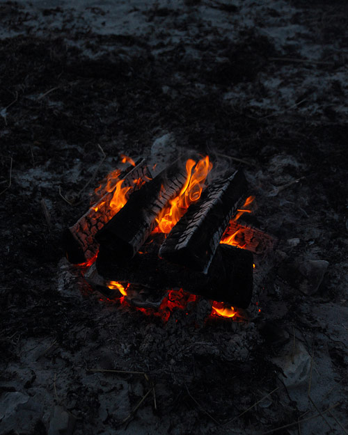 Photographer Levi Mandel