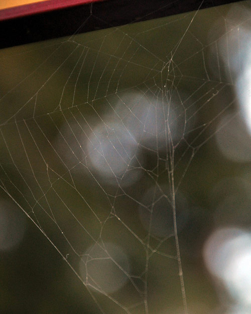 Photographer Levi Mandel