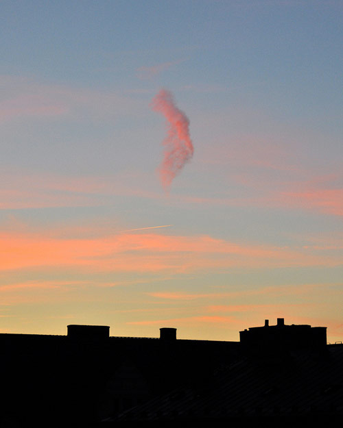 Photographer Levi Mandel