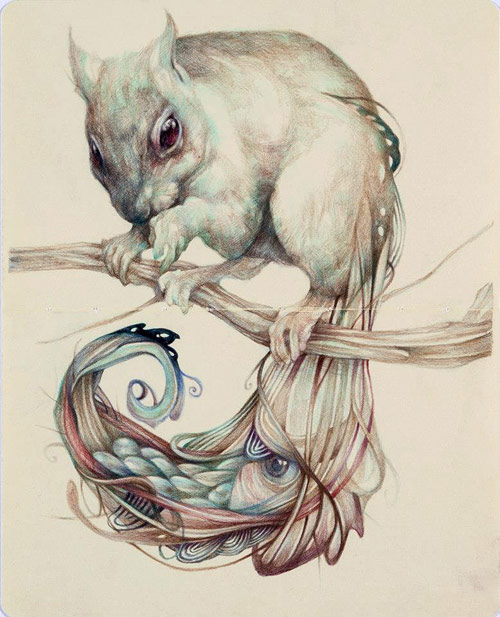 Drawings by artist Marco Mazzoni