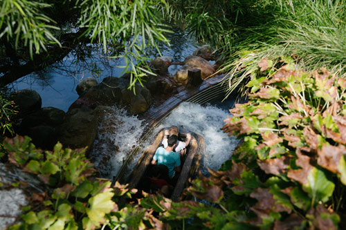 Photographer Matt Rubin