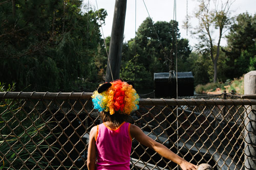 Photographer Matt Rubin