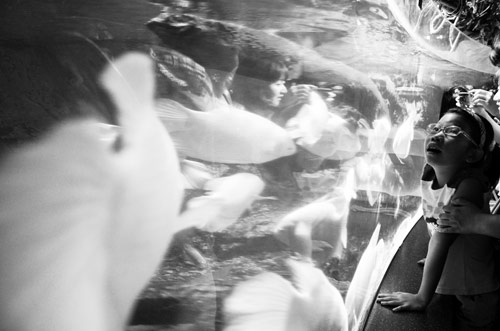 Photographer Ryan Harding