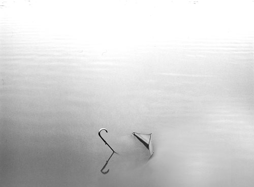 Photographer Ryan Harding