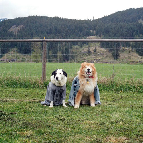 Switcheroo by Hana Pesut