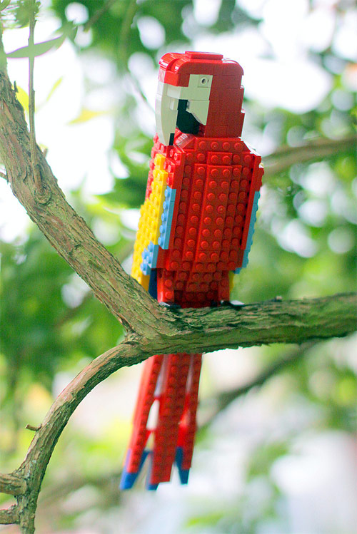 Lego birds by Tom Poulsom