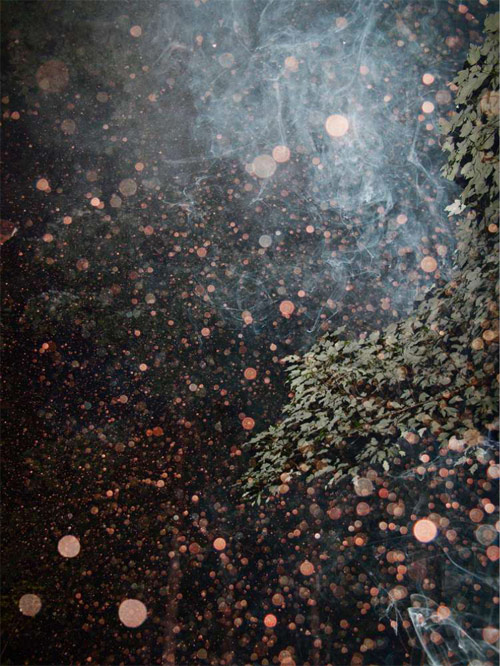 Photographer Maury Gortemiller