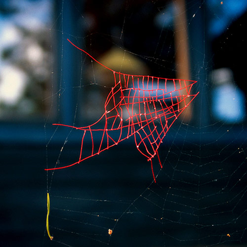 Mended Spiderwebs by Nina Katchadourian