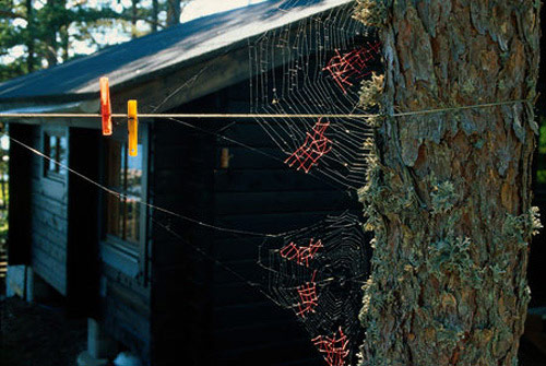 Mended Spiderwebs by Nina Katchadourian